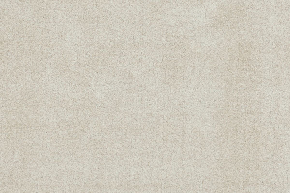 E06BISCWIDE2302_CL