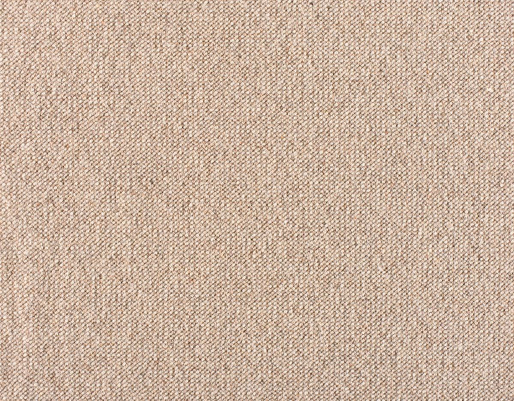 Andean Quinoa