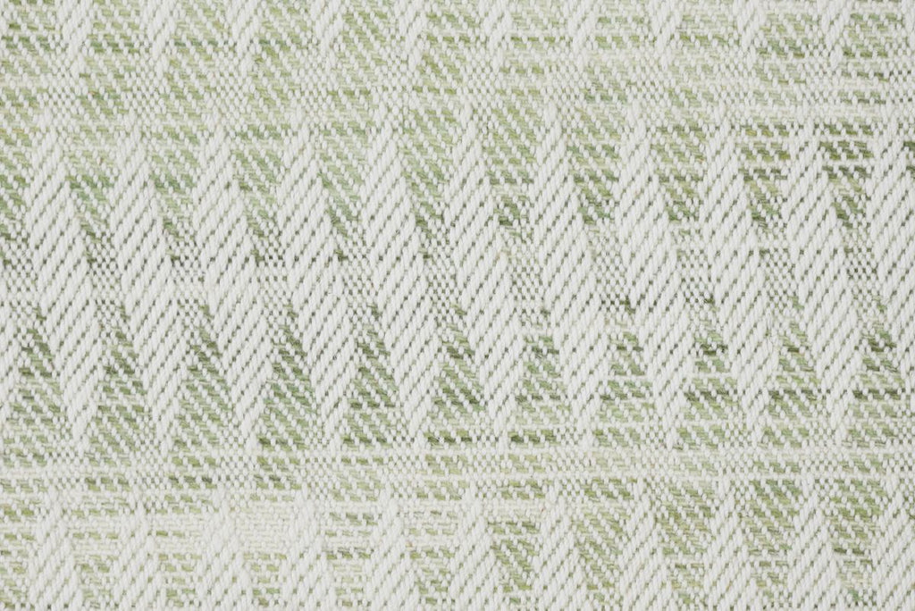 Fern