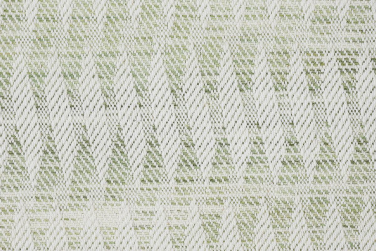 Fern
