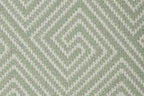 Fern