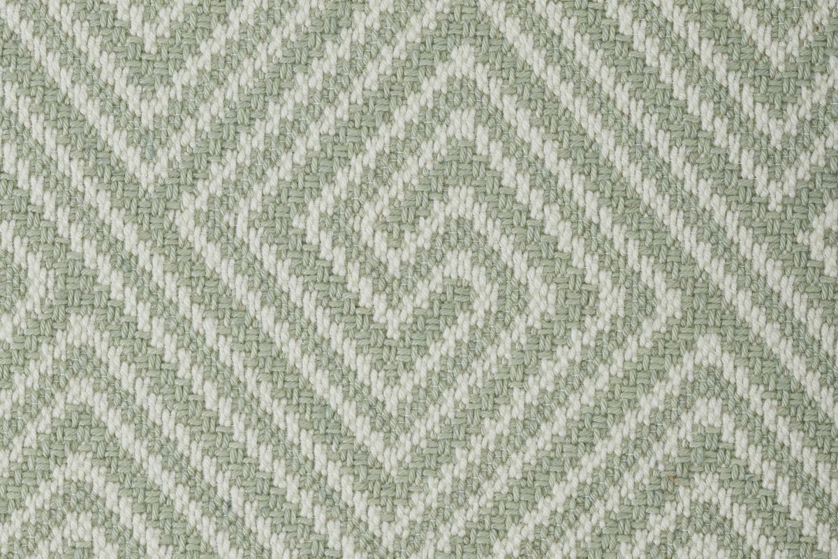 Fern