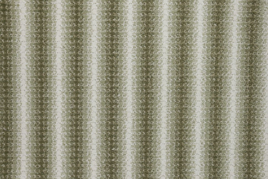 Fern