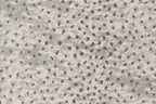 Graphite