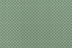 Green 7601