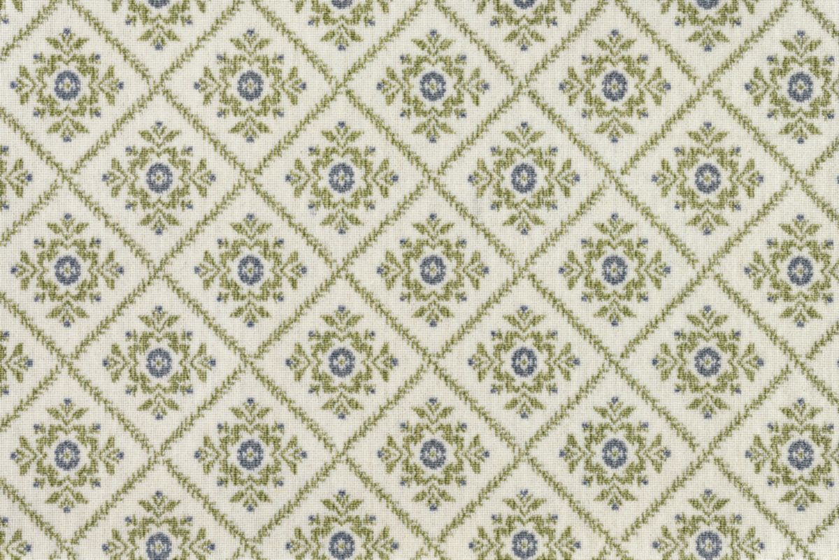Lichen