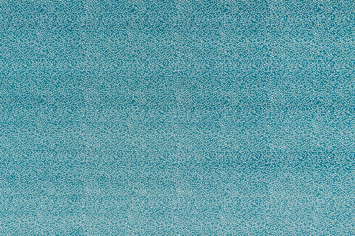 Meadow