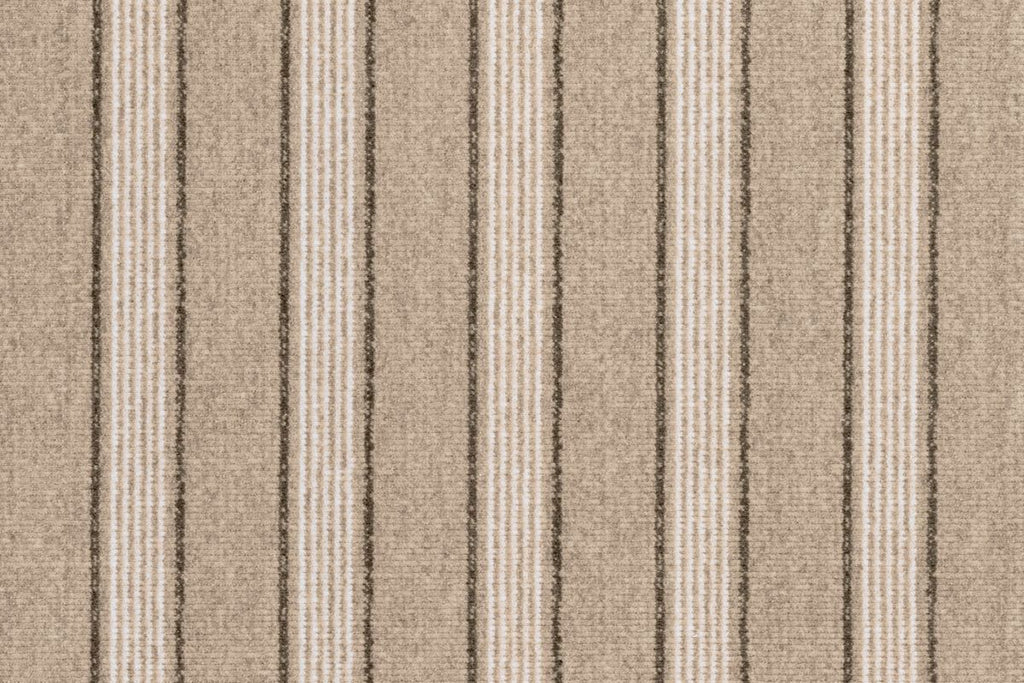 Sahara