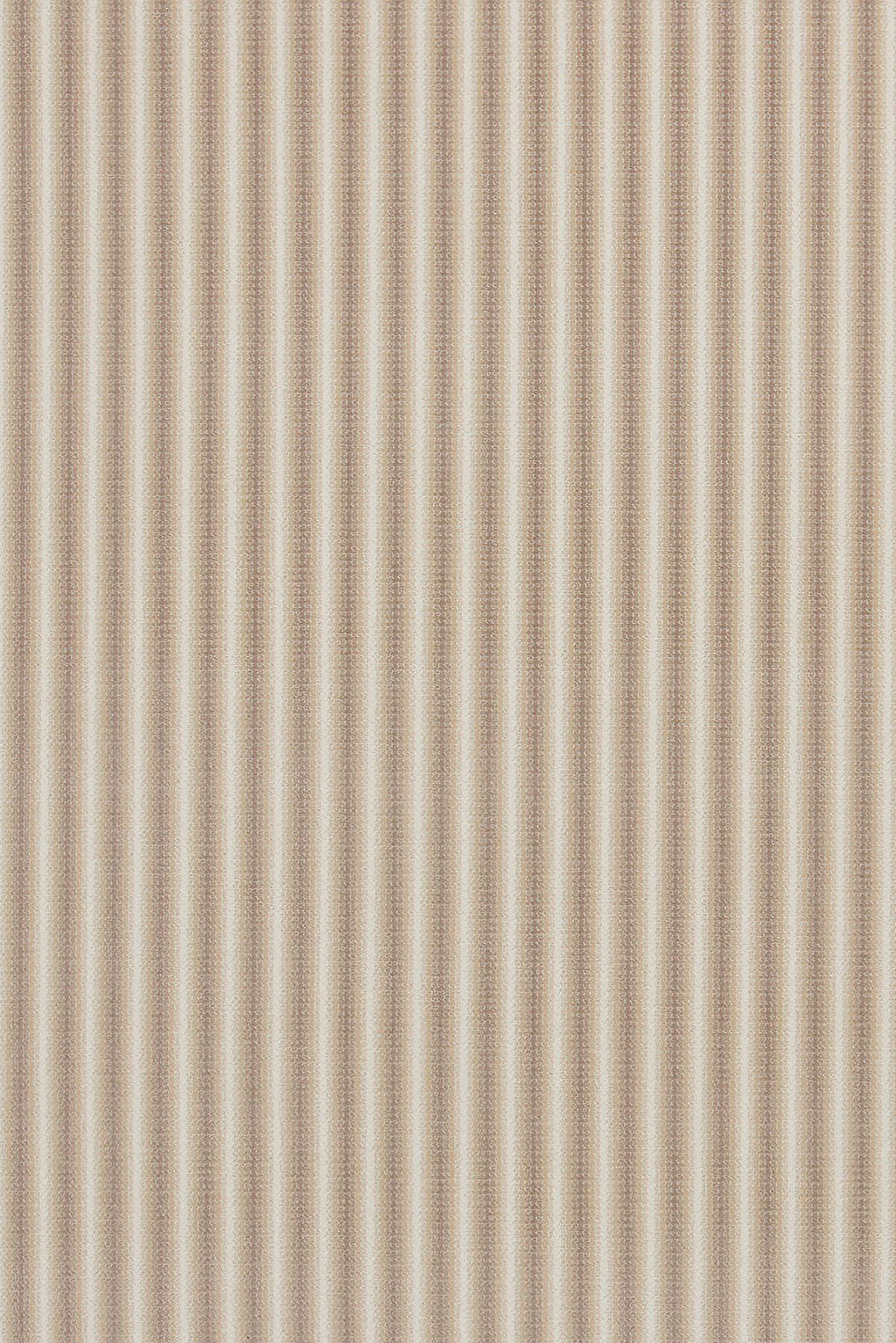 Sahara