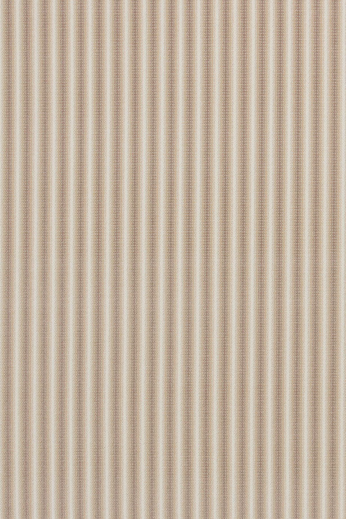 Sahara