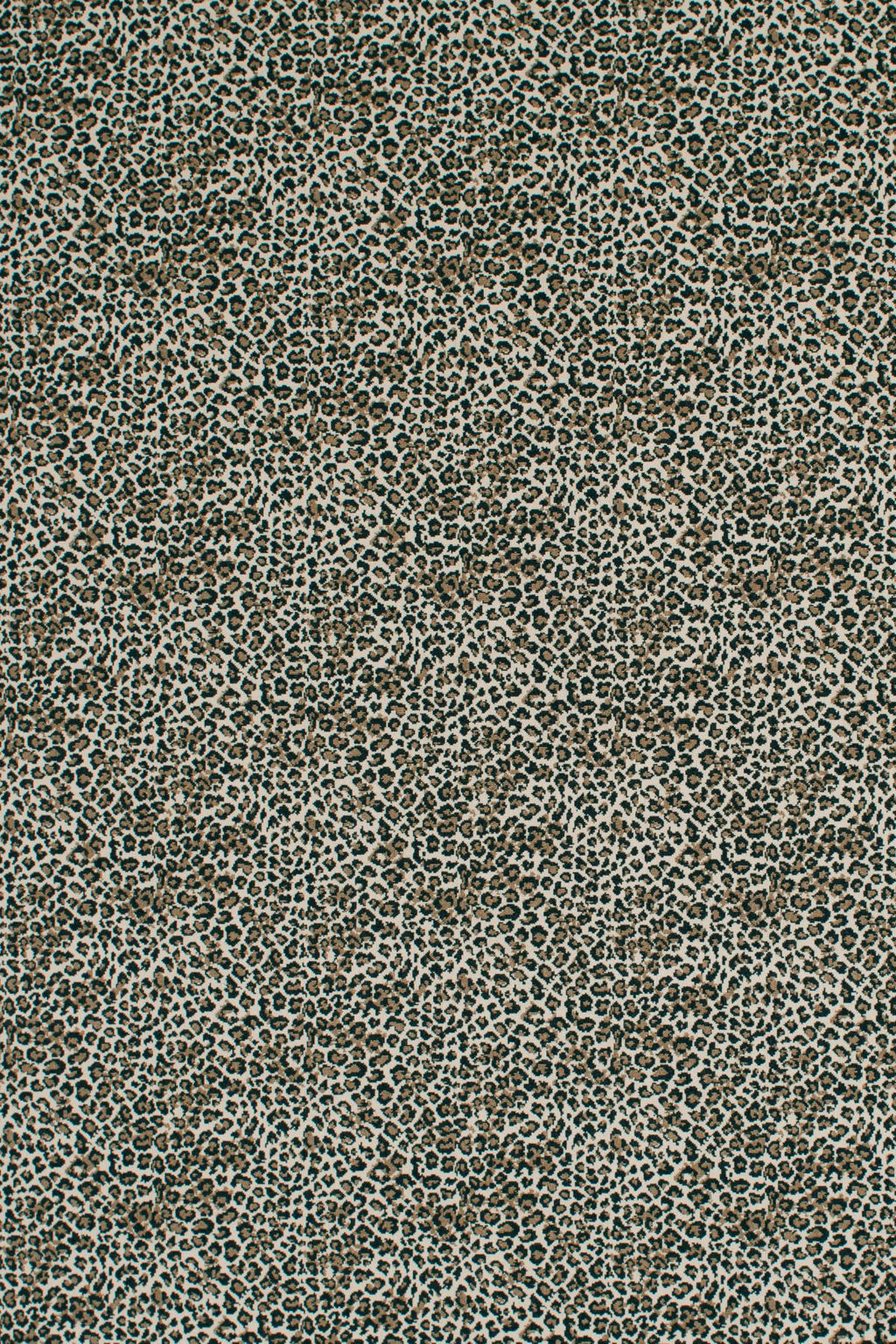 Sahara