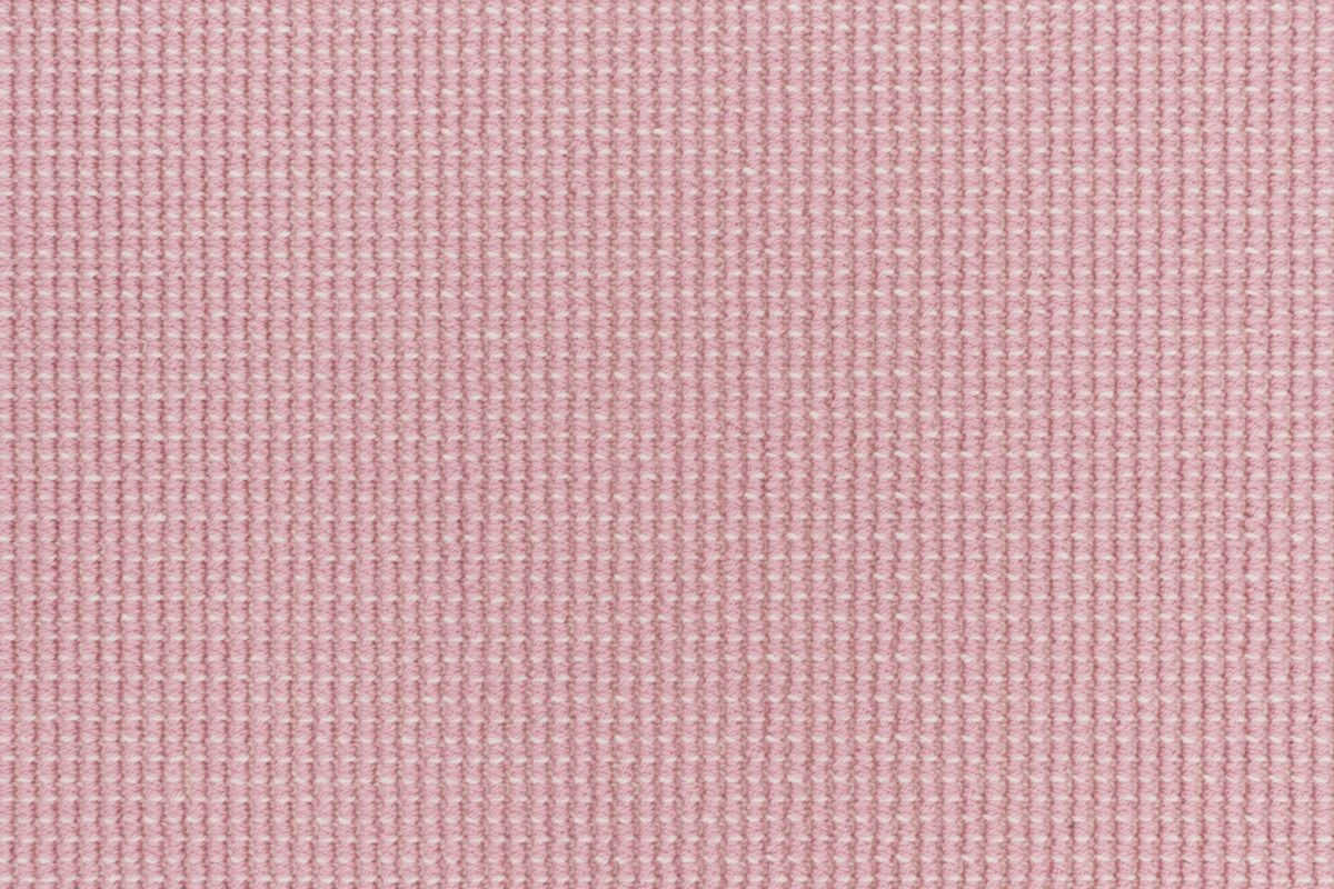 Sherbert