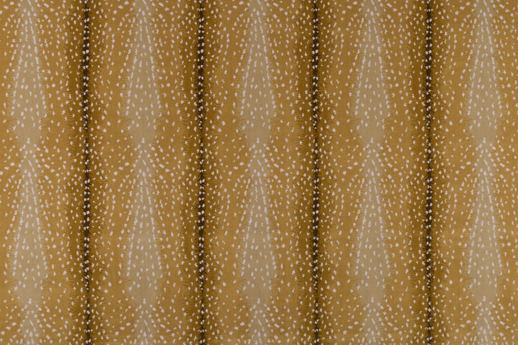 T01000714_ALT2