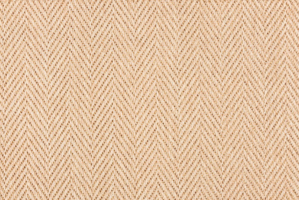 T01000834_CL
