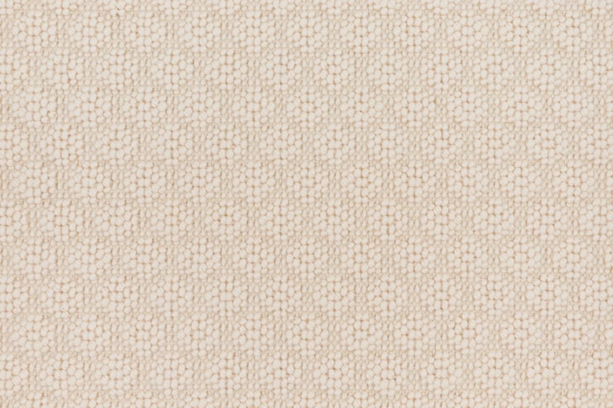 T01000839_CL