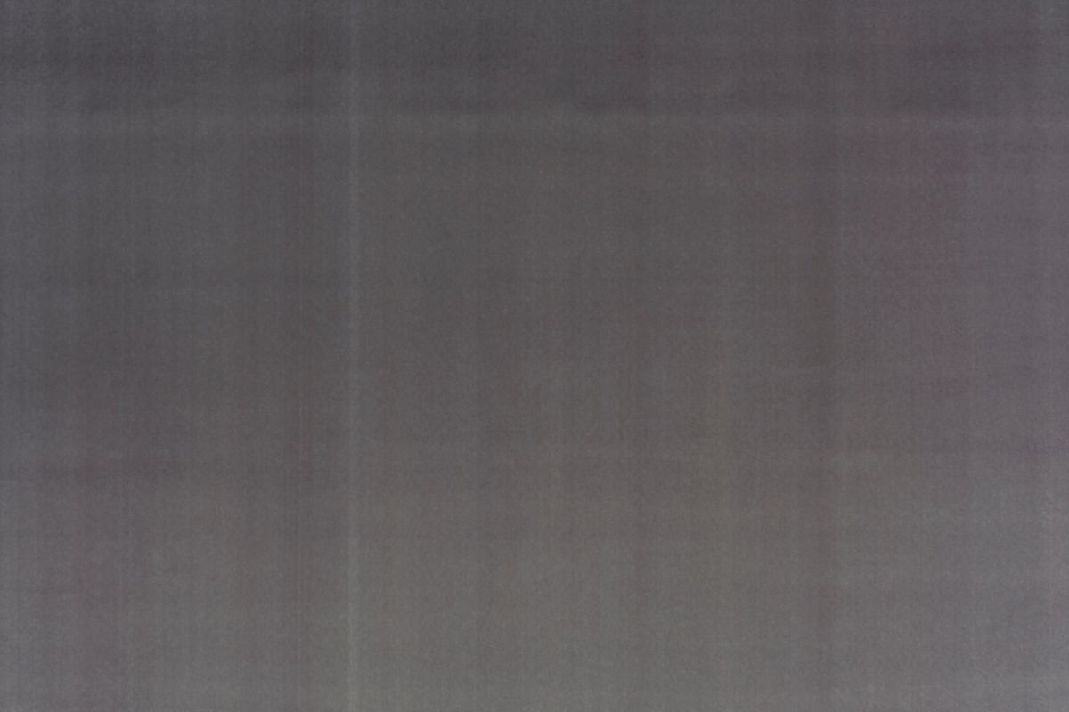 T01001060_ALT2