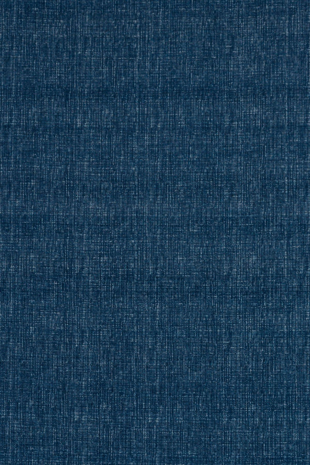T01001650_ALT2