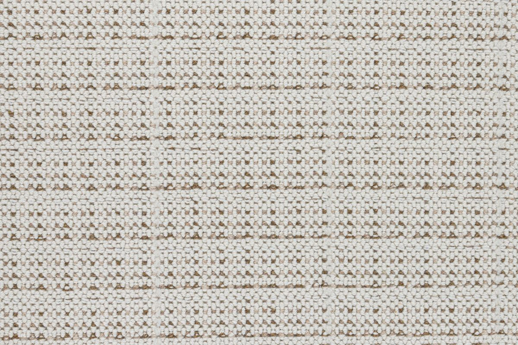 T01003281_CL