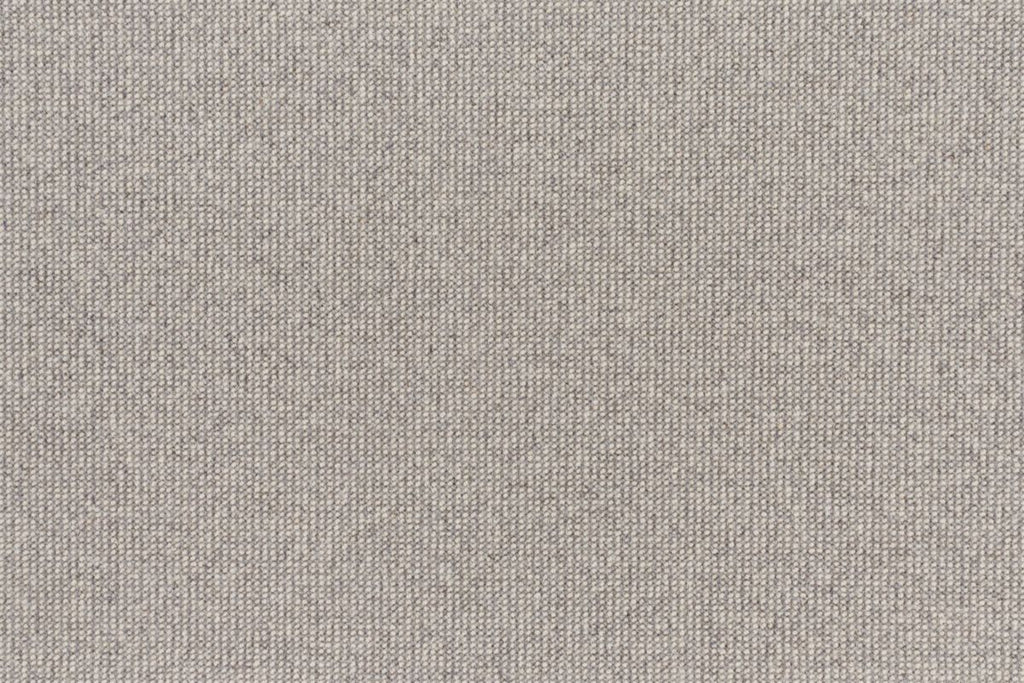 T01005996_CL