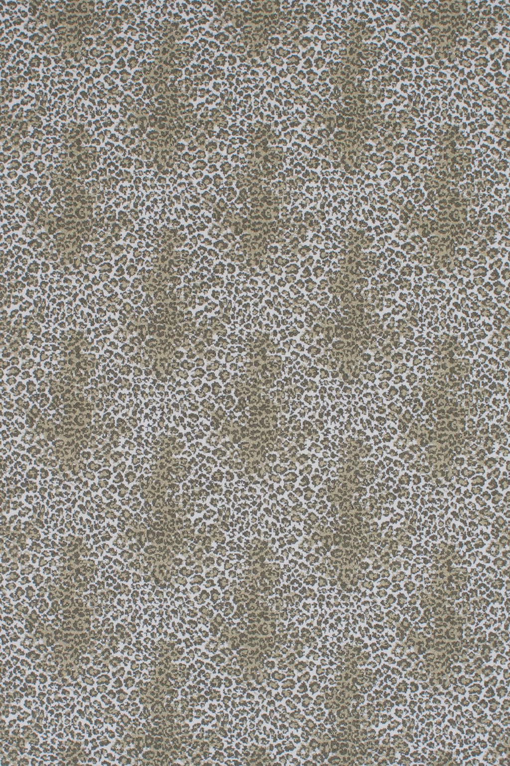 T01006837_ALT2