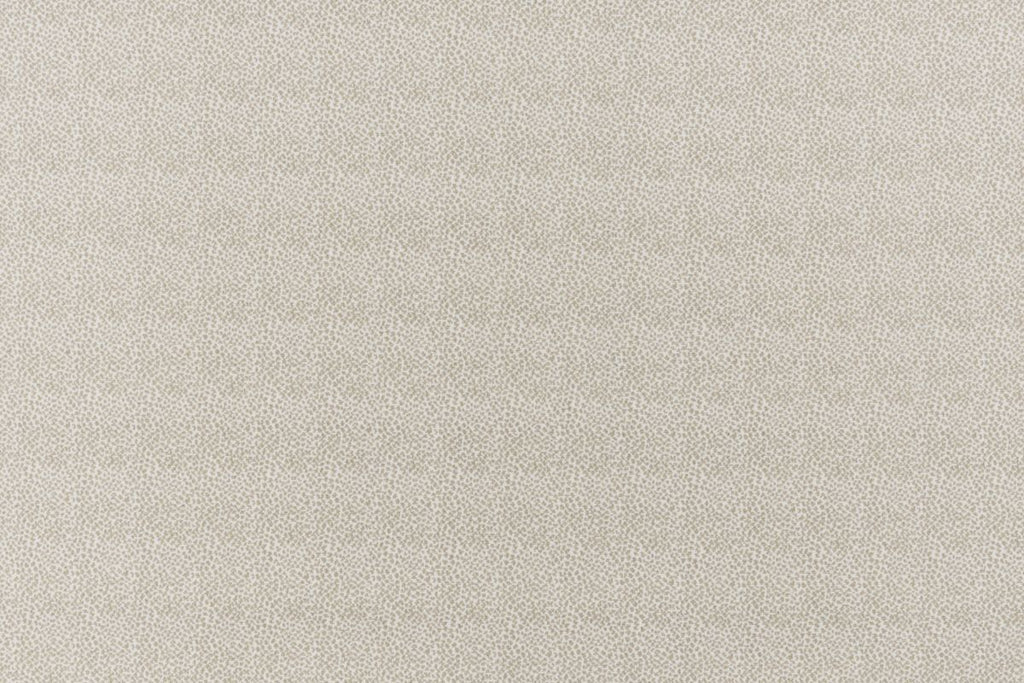 T01006881_ALT2