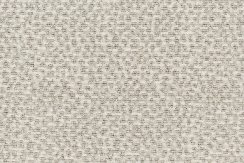 T01006881_CL