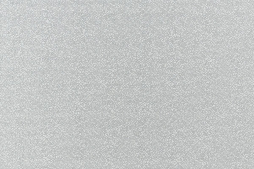 T01006998_ALT2