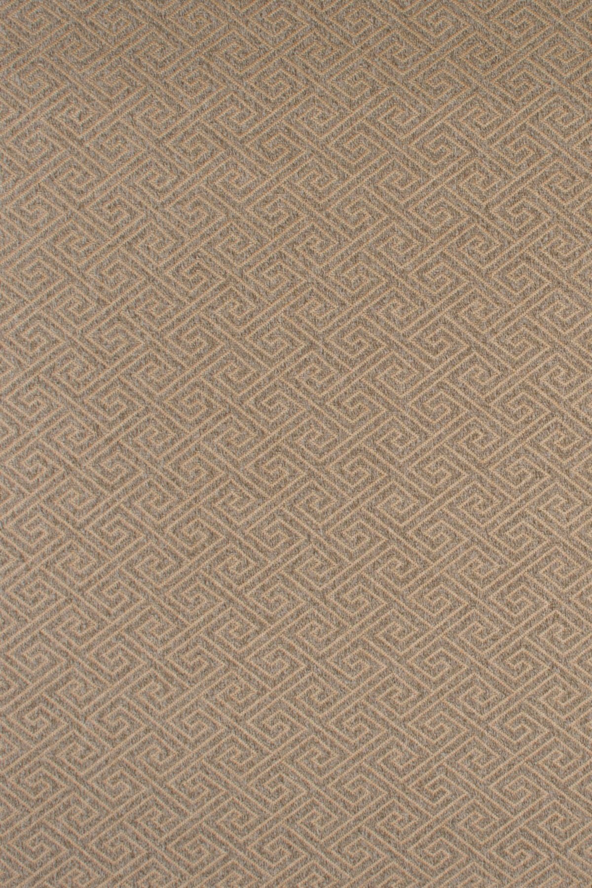 T01007265_ALT2