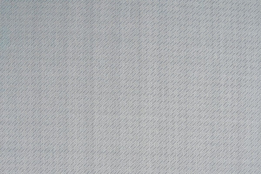 T01007554_ALT2