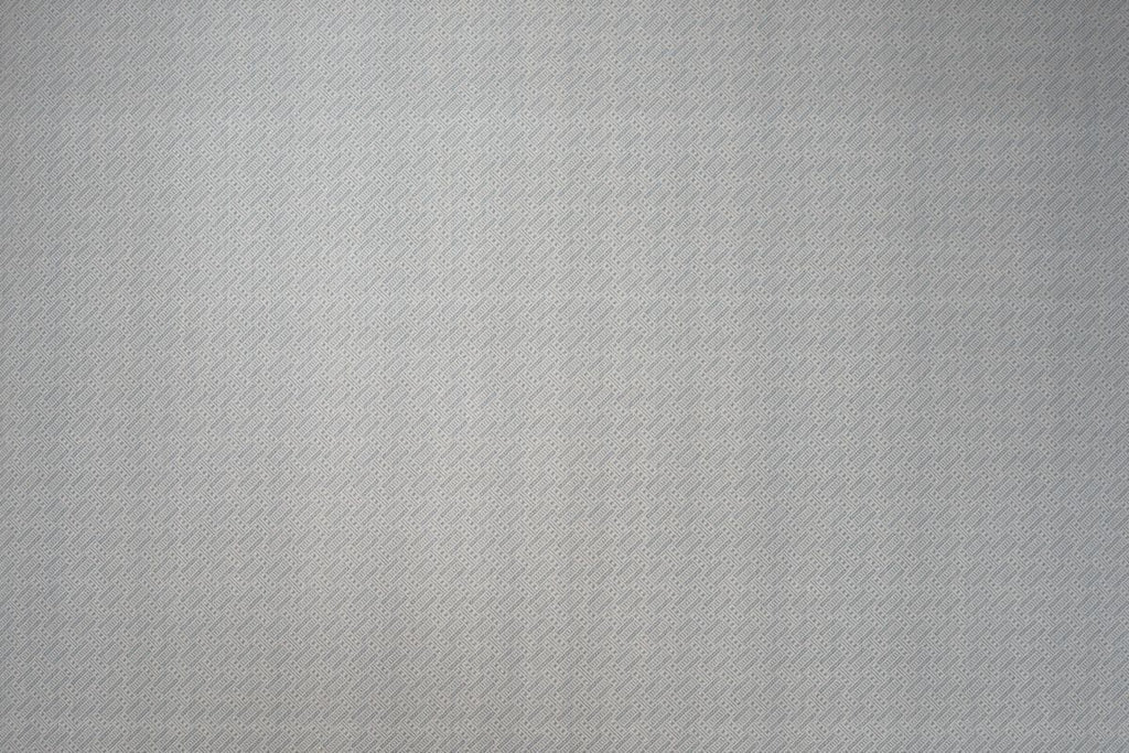 T01007556_ALT2