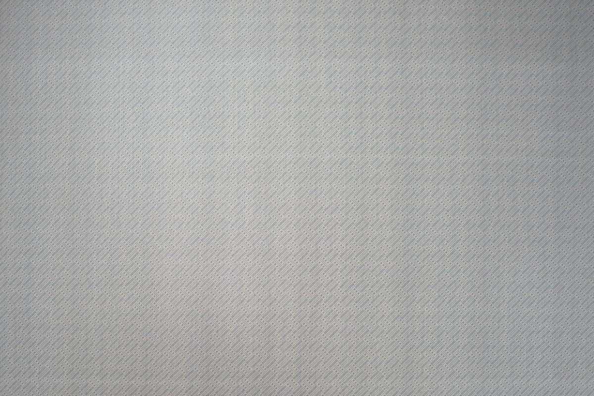 T01007556_ALT2