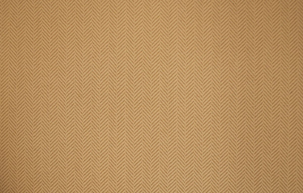 T01007842
