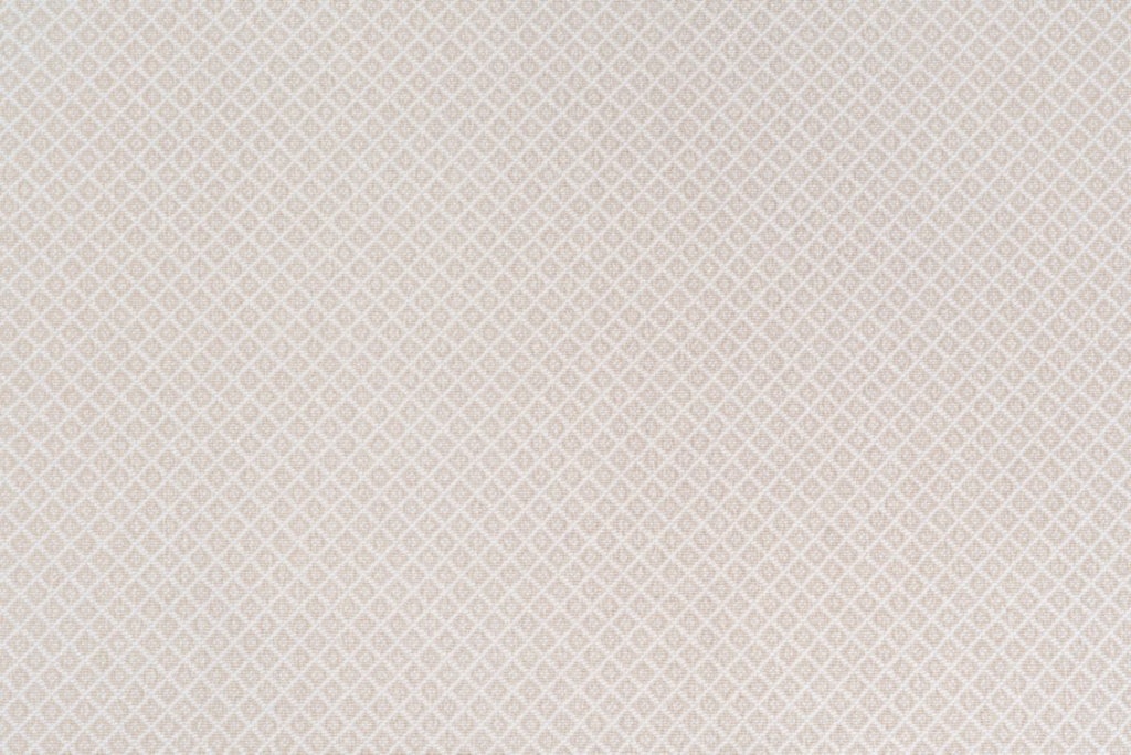 T01007865_CL