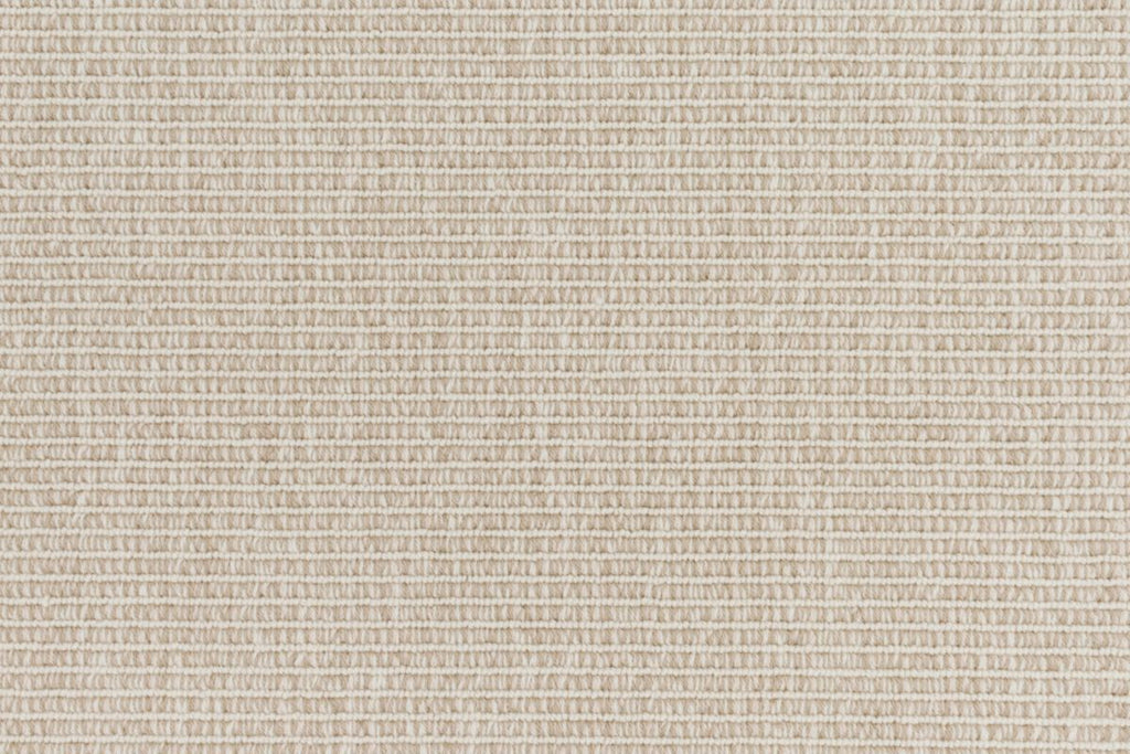 T01007960_CL