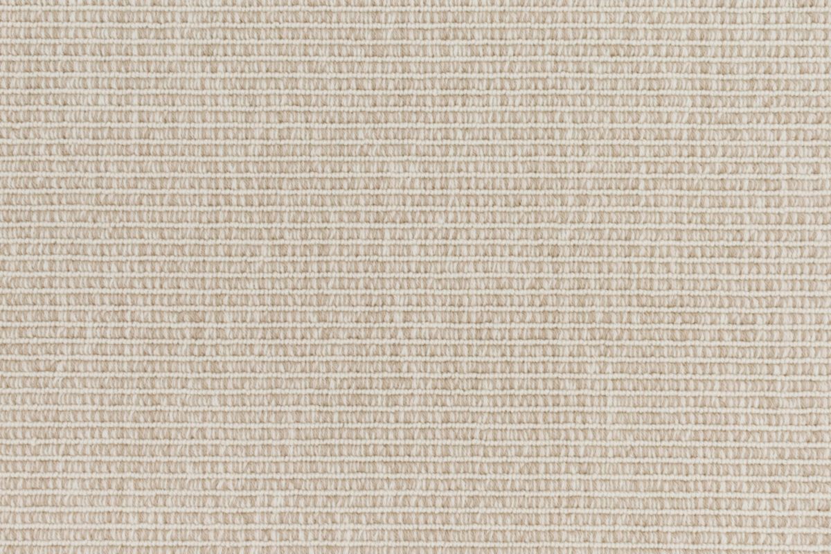 T01007960_CL