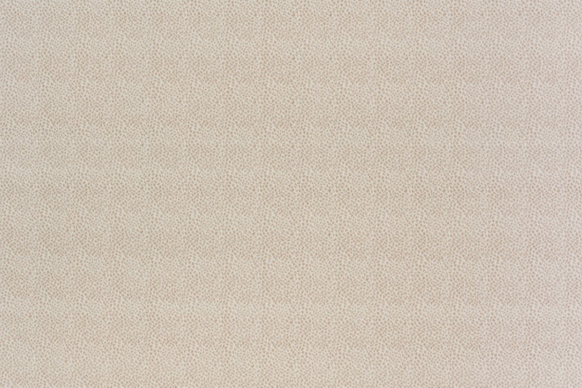 T01008945_ALT2