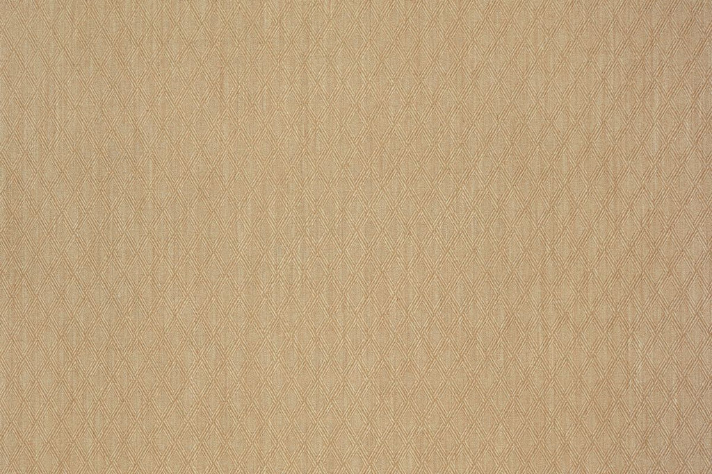 T01009295_ALT2