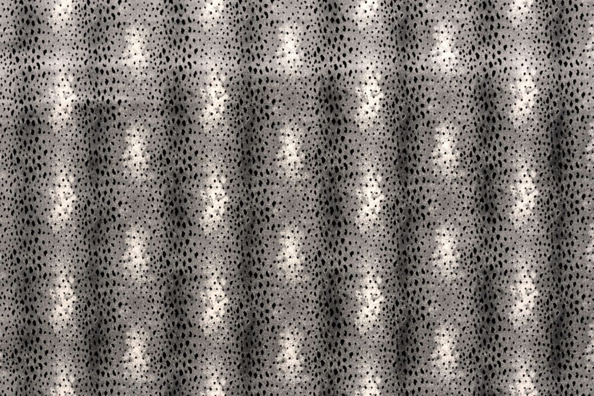 T01009578_ALT2