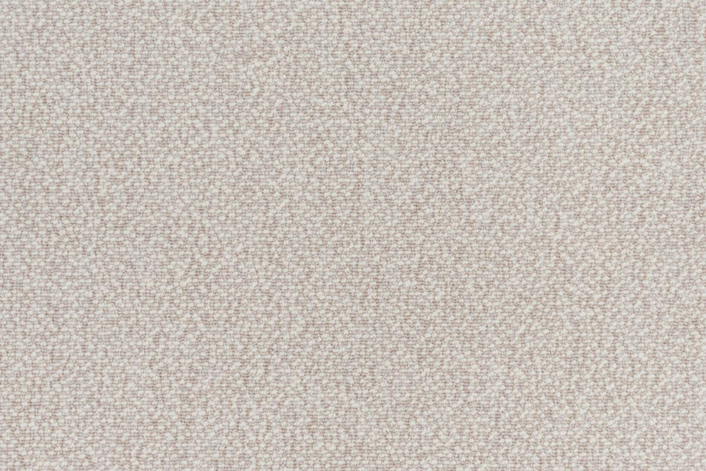 T01009906_CL