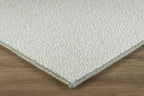 T01009907_SAMPLE