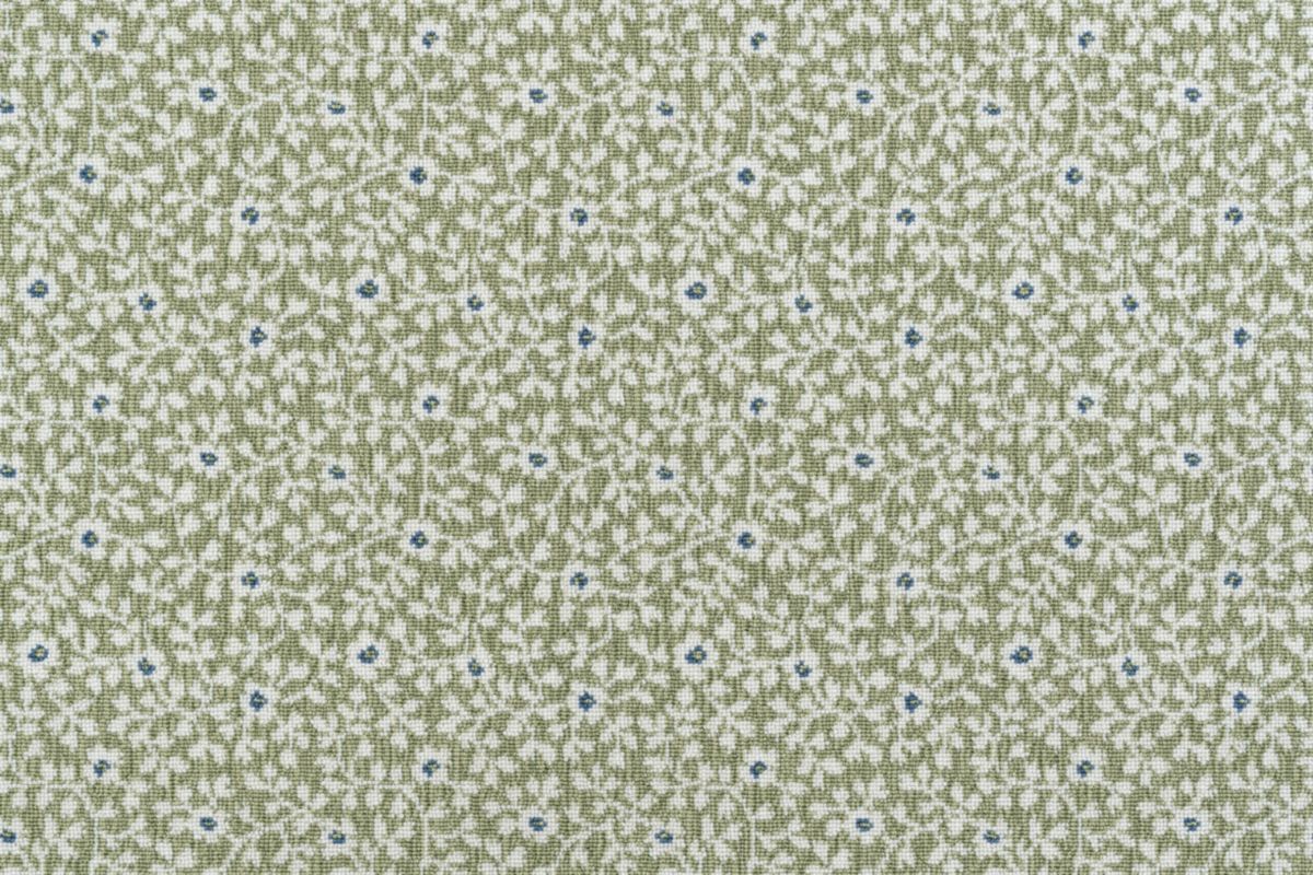T01010024_CL