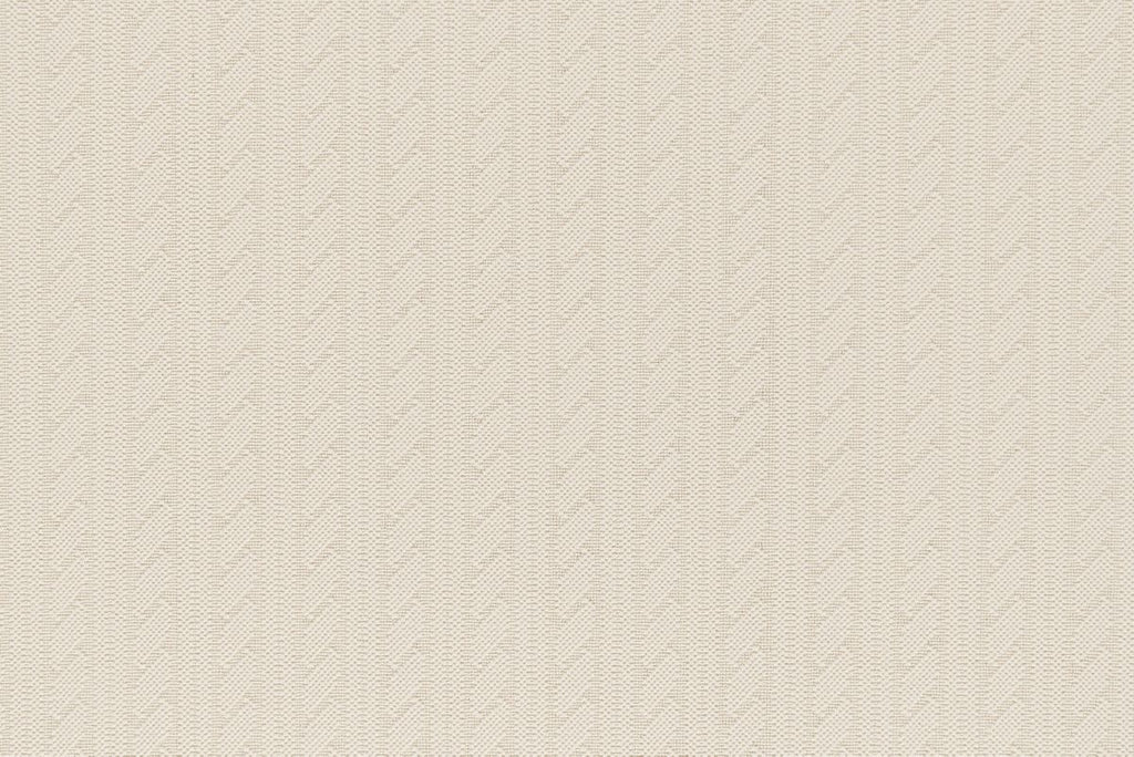 T01010077_CL
