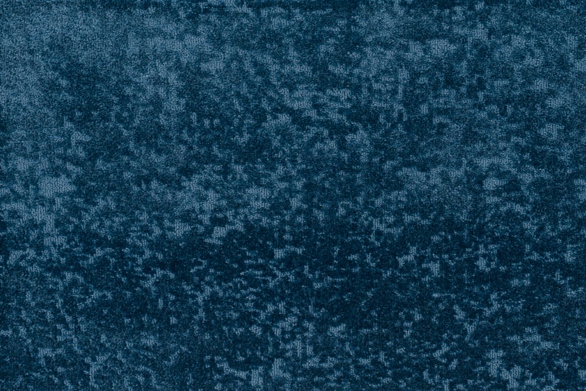 T01010184_CL