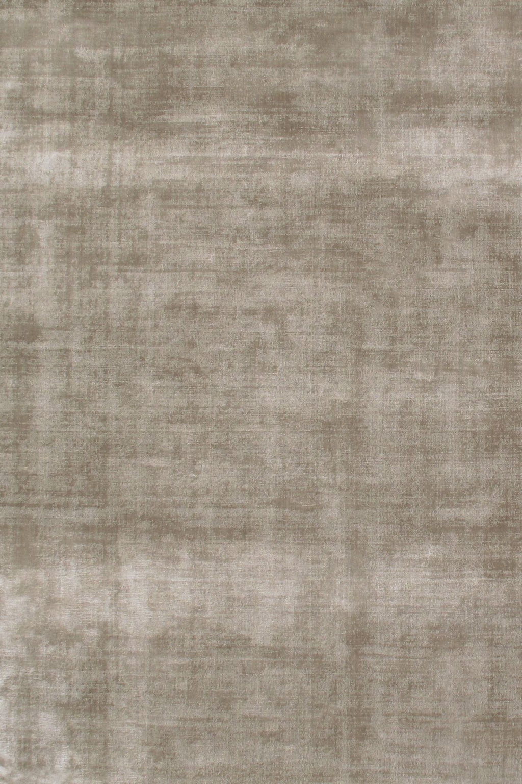 T01013827_ALT2