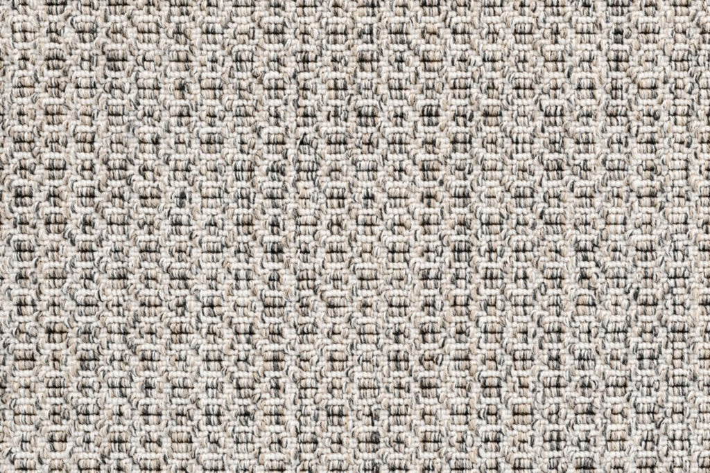 T01013953_CL