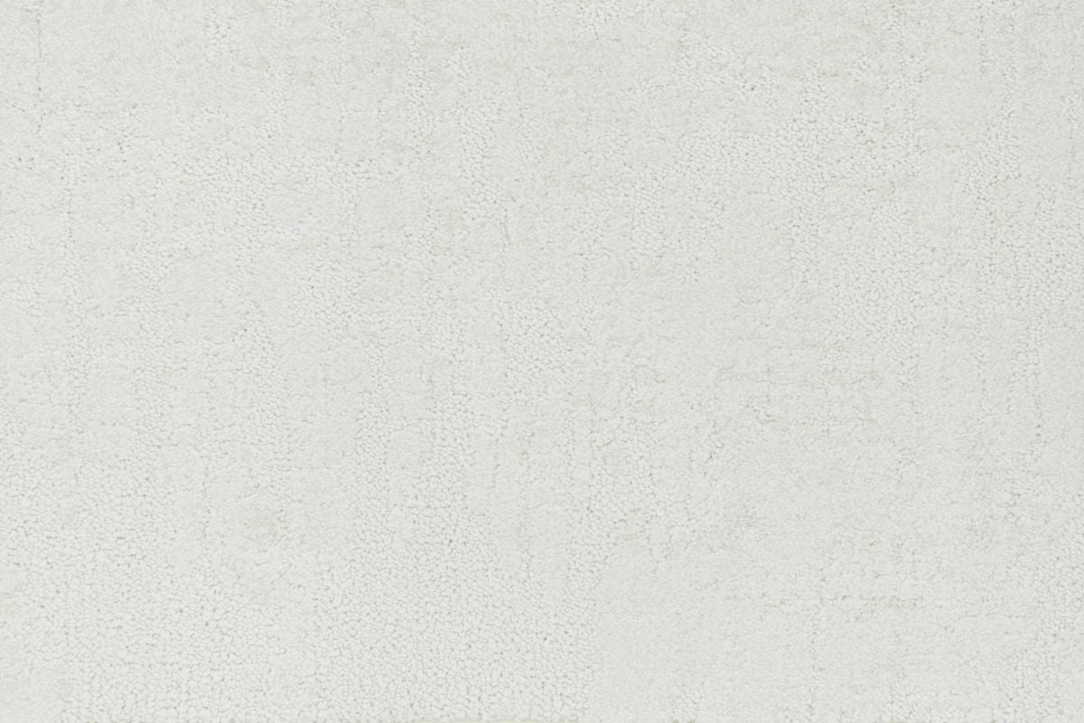 T01016199_CL