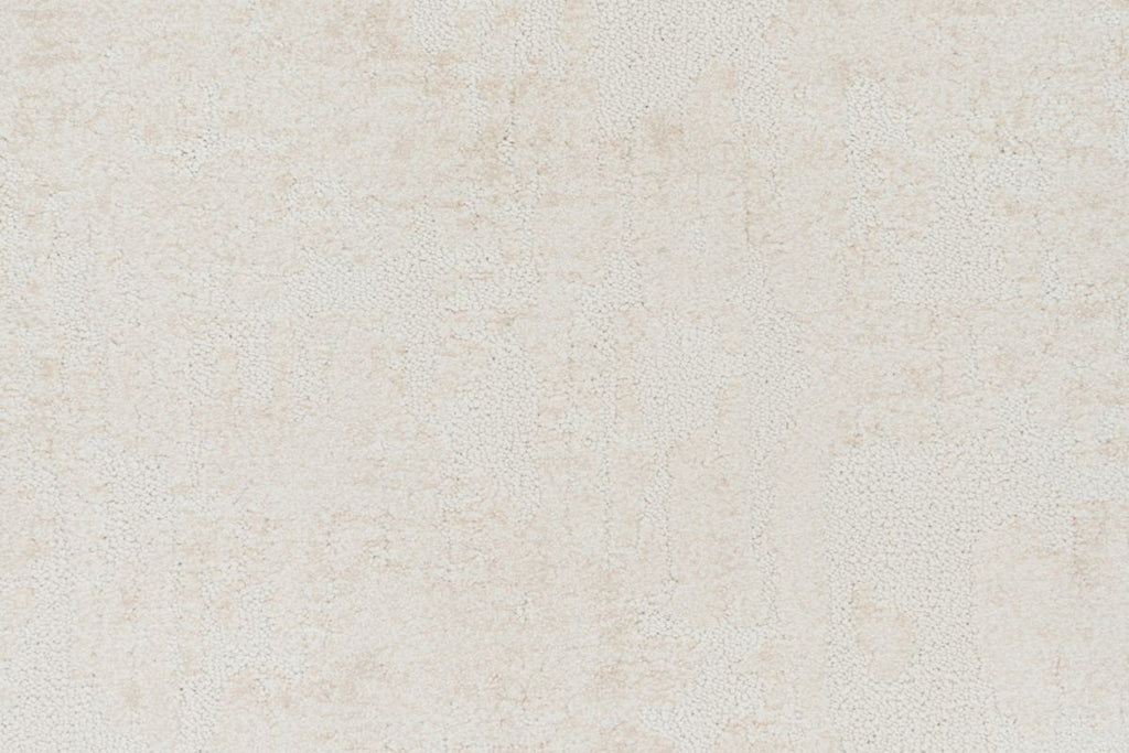 T01016201_CL