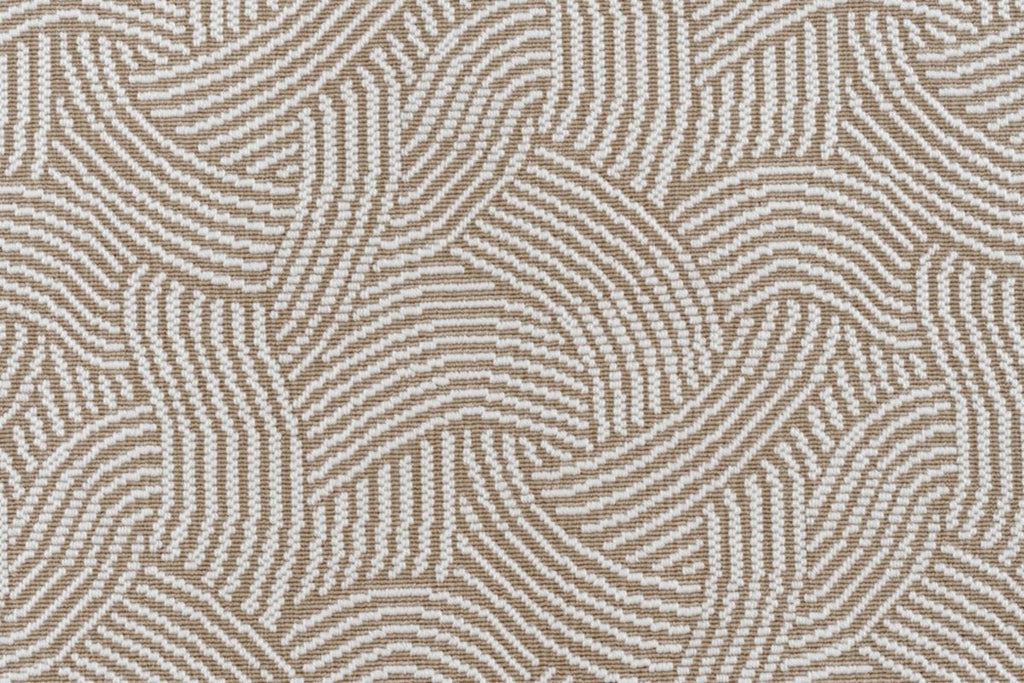 T01016689_CL