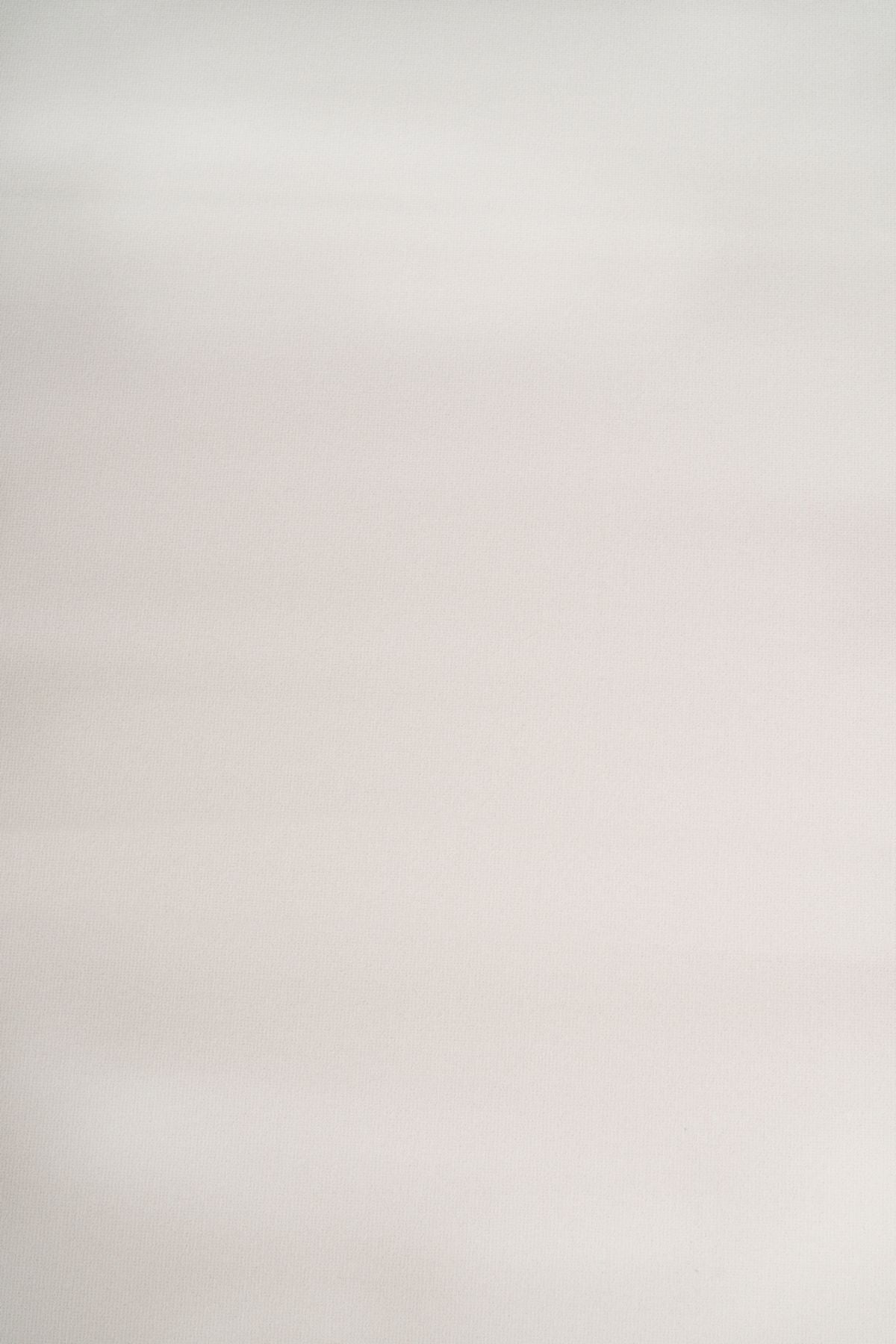 T01017017_ALT2