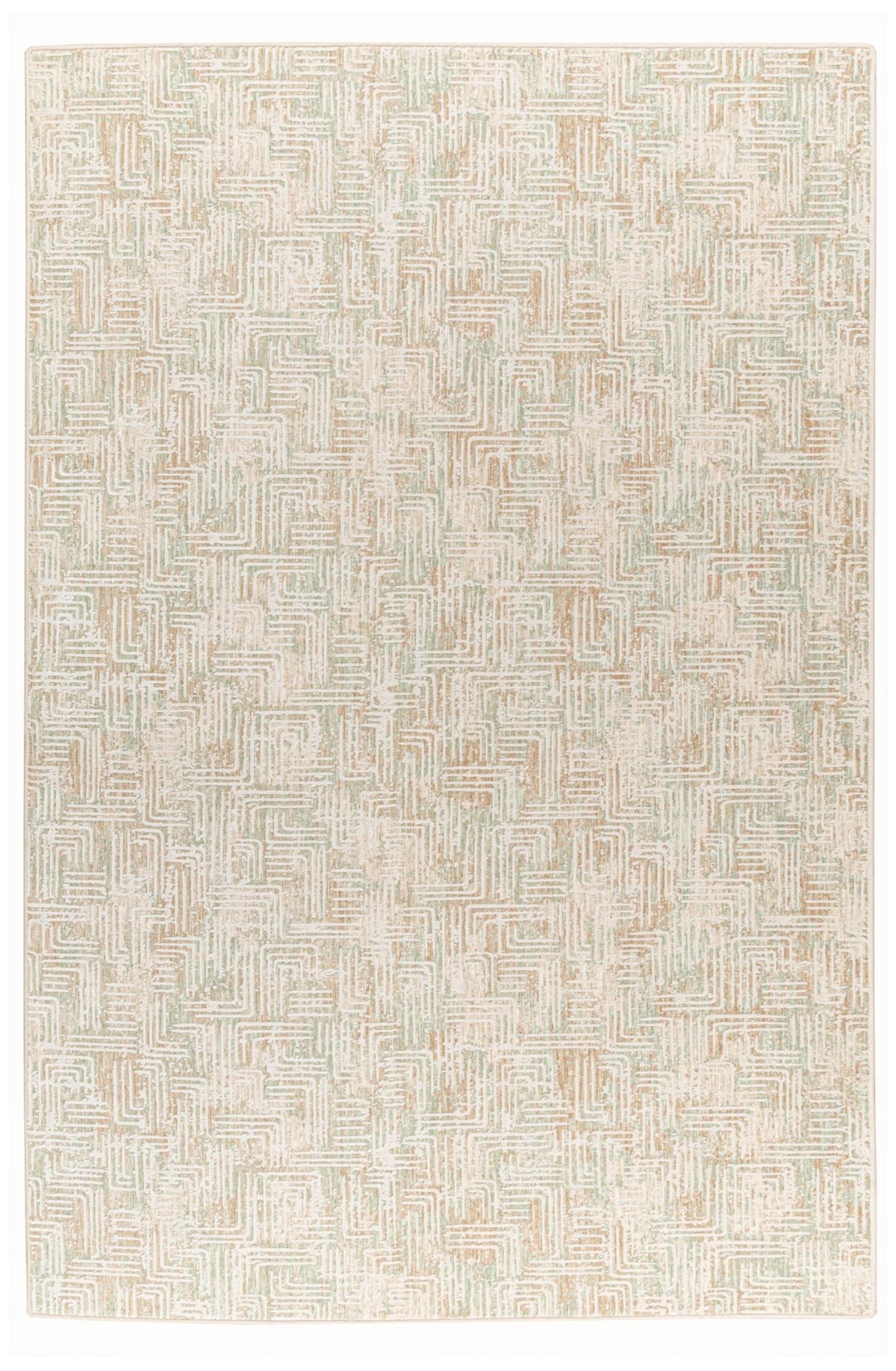 T01017088